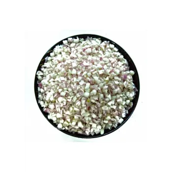 Frozen Onion (4)-4247522-61962.webp